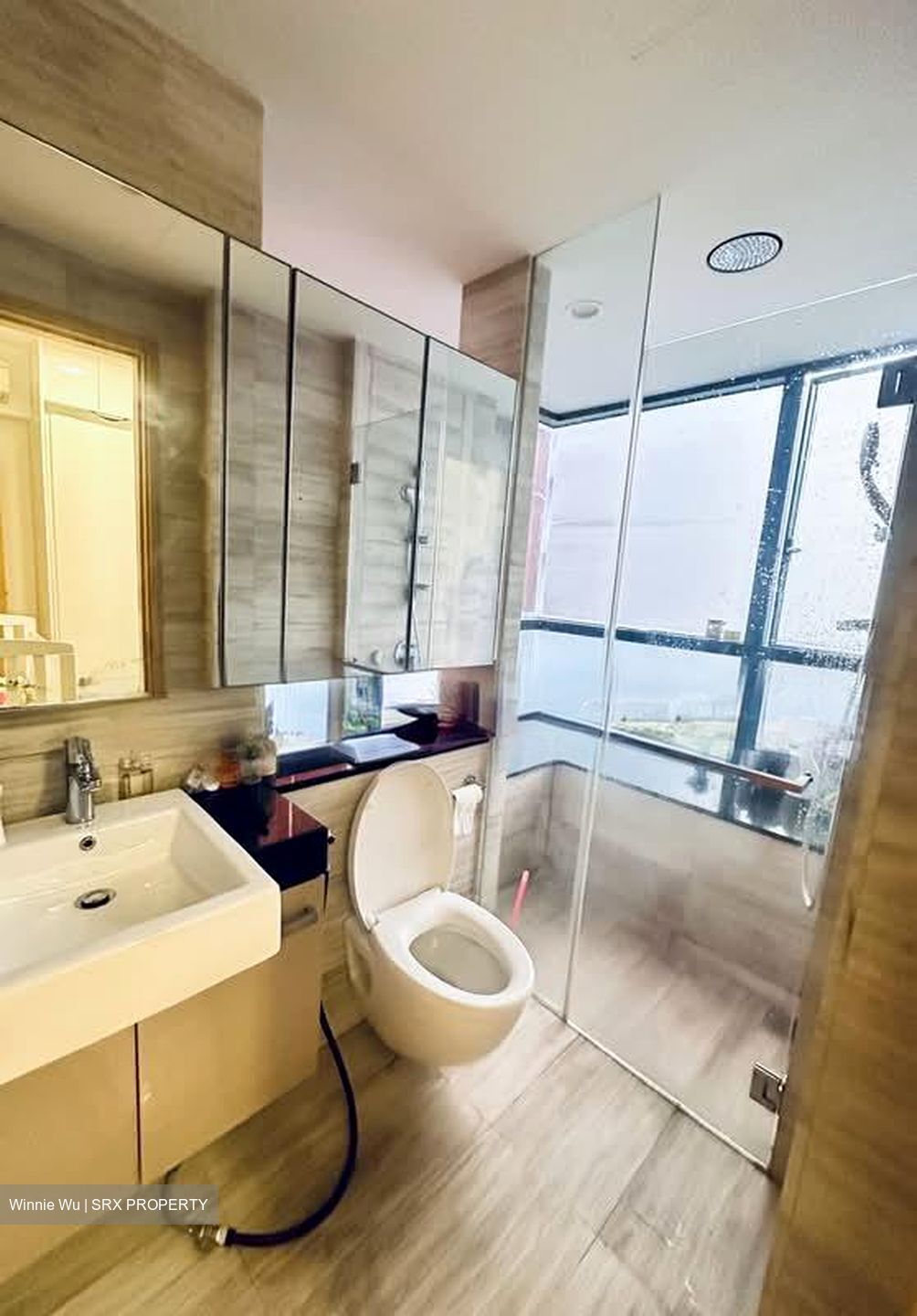 Cityscape @ Farrer Park (D8), Condominium #559150701